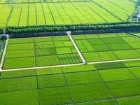 伊川县农业农村局葛寨镇1.4万亩高标准农田建设项目