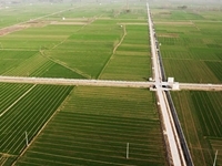 伊川县农业农村局2020年6万亩高标准农田建设项目
