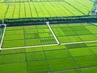 石家庄优质招标代理哪家好
